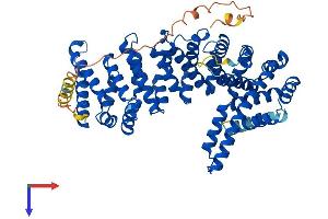 AlphaFold protein structure predicition of Human Recombinant CTNNBL1 Protein, UniprotID Q8WYA6