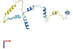 AlphaFold protein structure predicition of Mouse Recombinant Rps19bp1 Protein, UniprotID Q8C6B9