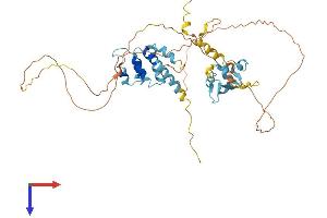 AlphaFold protein structure predicition of Mouse Recombinant Sp100 Protein, UniprotID O35892