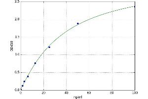 A typical standard curve (CD8 alpha Kit ELISA)