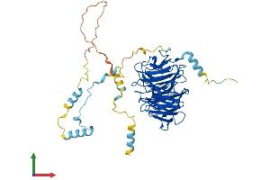 AlphaFold protein structure predicition of Human Recombinant CDC20 Protein, UniprotID Q12834