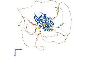 AlphaFold protein structure predicition of Human Recombinant PAK5 Protein, UniprotID Q9P286