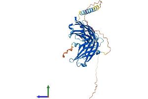 AlphaFold protein structure predicition of Mouse Recombinant Syt8 Protein, UniprotID Q9R0N6