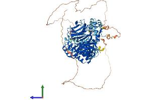 AlphaFold protein structure predicition of Mouse Recombinant Taf5 Protein, UniprotID Q8C092