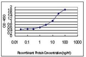 ELISA image for anti-Interferon Regulatory Factor 4 (IRF4) (AA 342-452) antibody (ABIN614626)