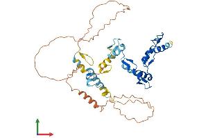 AlphaFold protein structure predicition of Human Recombinant ZNF552 Protein, UniprotID Q9H707