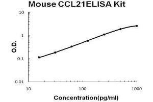 Mouse CCL21/6Ckine PicoKine ELISA Kit standard curve (CCL21 Kit ELISA)