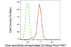 Flow cytometric analysis of Dual specificity phosphatase 23 expression in A549 cells using Dual specificity phosphatase 23 antibody (ABIN7798390), 1:1,000).