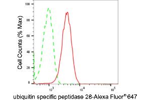 Flow cytometric analysis of ubiquitin specific peptidase 28 expression in HepG2 cells using ubiquitin specific peptidase 28 antibody (ABIN7800733), 1:2,000). (Recombinant USP28 anticorps)