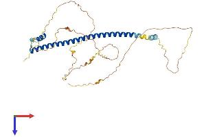 AlphaFold protein structure predicition of Mouse Recombinant Creb3l4 Protein, UniprotID Q9D2A5