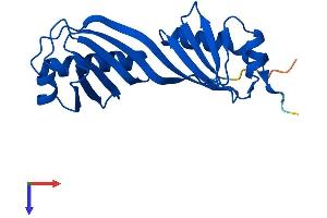 AlphaFold protein structure predicition of Mouse Recombinant Tbpl1 Protein, UniprotID P62340