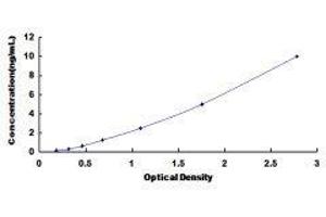 DNA-Damage-Inducible Transcript 3 (DDIT3) ELISA Kit