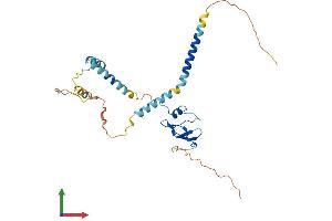 AlphaFold protein structure predicition of Mouse Recombinant Cd74 Protein, UniprotID P04441