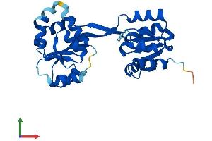 AlphaFold protein structure predicition of Human Recombinant UROS Protein, UniprotID P10746