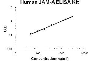 Human JAM-A PicoKine ELISA Kit standard curve (F11R Kit ELISA)
