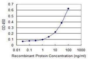 Detection limit for recombinant GST tagged FBXL21 is 1 ng/ml as a capture antibody. (FBXL21 anticorps  (AA 167-276))