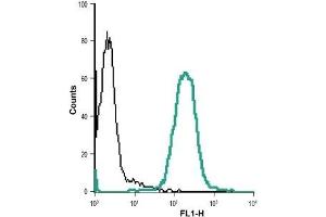 Cell surface detection of VPAC1 in live intact Jurkat (human T cell leukemia cells) cell line: (black line) Cells + goat-anti-rabbit-DyLight-488.