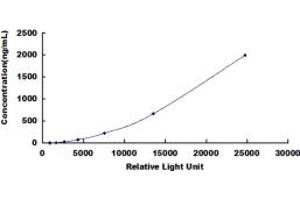 ELISA image for Fibrinogen CLIA Kit (ABIN491846)