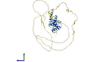 AlphaFold protein structure predicition of Human Recombinant SMAP2 Protein, UniprotID Q8WU79