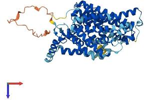 AlphaFold protein structure predicition of Human Recombinant SLC7A11 Protein, UniprotID Q9UPY5