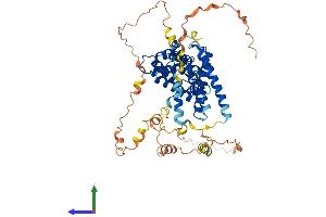 AlphaFold protein structure predicition of Human Recombinant TOM1L2 Protein, UniprotID Q6ZVM7