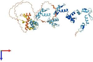 AlphaFold protein structure predicition of Human Recombinant ZNF69 Protein, UniprotID Q9UC07