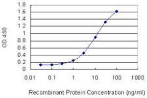 anti-Histamine Receptor H3 (HRH3) (AA 257-359) antibody