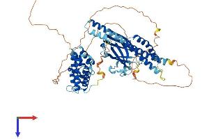 AlphaFold protein structure predicition of Mouse Recombinant Gga2 Protein, UniprotID Q6P5E6