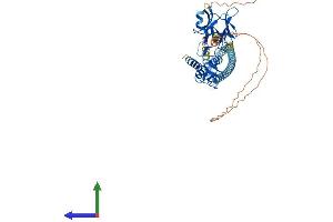 AlphaFold protein structure predicition of Human Recombinant RNF8 Protein, UniprotID O76064