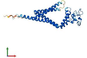 AlphaFold protein structure predicition of Mouse Recombinant Tspan33 Protein, UniprotID Q8R3S2