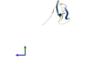 AlphaFold protein structure predicition of Mouse Recombinant Des Protein, UniprotID P31001