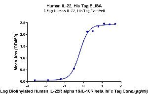 Immobilized Human IL-22, His Tag at 5 μg/mL (100 μL/well) on the plate.