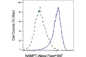 Validation of NAMPT knockdown using flow cytometry. (Recombinant NAMPT anticorps)