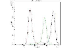 Flow Cytometry analysis of A549 cells using anti-Synaptotagmin 1 antibody (ABIN5692948). (SYT1 anticorps)