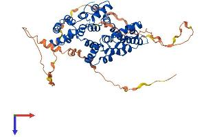AlphaFold protein structure predicition of Mouse Recombinant Anxa11 Protein, UniprotID P97384