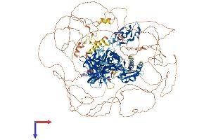 AlphaFold protein structure predicition of Human Recombinant ZFYVE9 Protein, UniprotID O95405