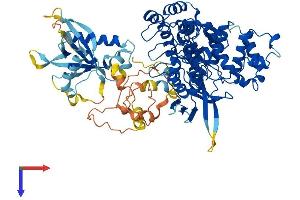 AlphaFold protein structure predicition of Human Recombinant KRIT1 Protein, UniprotID O00522