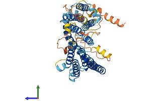 AlphaFold protein structure predicition of Mouse Recombinant Serinc3 Protein, UniprotID Q9QZI9