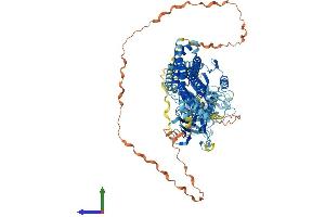 AlphaFold protein structure predicition of Mouse Recombinant Dnm2 Protein, UniprotID P39054