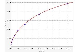 Typical standard curve (SIRT7 Kit ELISA)