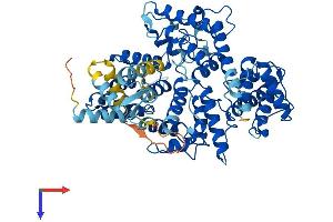 AlphaFold protein structure predicition of Human Recombinant PLS1 Protein, UniprotID Q14651
