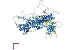 AlphaFold protein structure predicition of Human Recombinant RASGRF2 Protein, UniprotID O14827