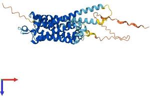 AlphaFold protein structure predicition of Human Recombinant HTR4 Protein, UniprotID Q13639
