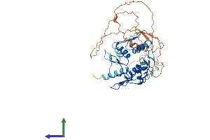 AlphaFold protein structure predicition of Human Recombinant ZNF134 Protein, UniprotID P52741