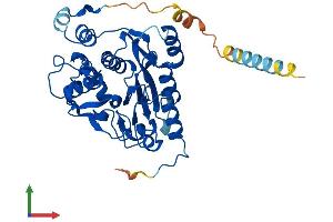 AlphaFold protein structure predicition of Mouse Recombinant B3gnt4 Protein, UniprotID Q1RLK6
