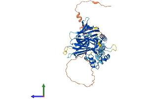 AlphaFold protein structure predicition of Human Recombinant TFCP2L1 Protein, UniprotID Q9NZI6