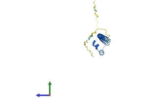 AlphaFold protein structure predicition of Human Recombinant MAFK Protein, UniprotID O60675