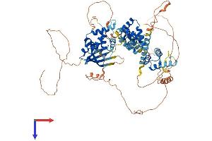AlphaFold protein structure predicition of Human Recombinant SATB1 Protein, UniprotID Q01826