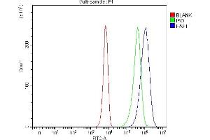 anti-Fas (TNFRSF6) Associated Factor 1 (FAF1) (AA 91-650) antibody