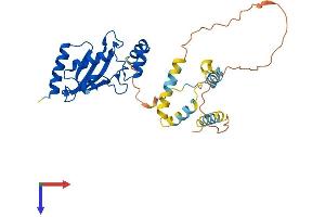 AlphaFold protein structure predicition of Human Recombinant UBE2U Protein, UniprotID Q5VVX9